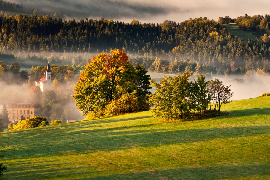Vegetação de um vale com cores de outono europeu e no ar tem uma névoa