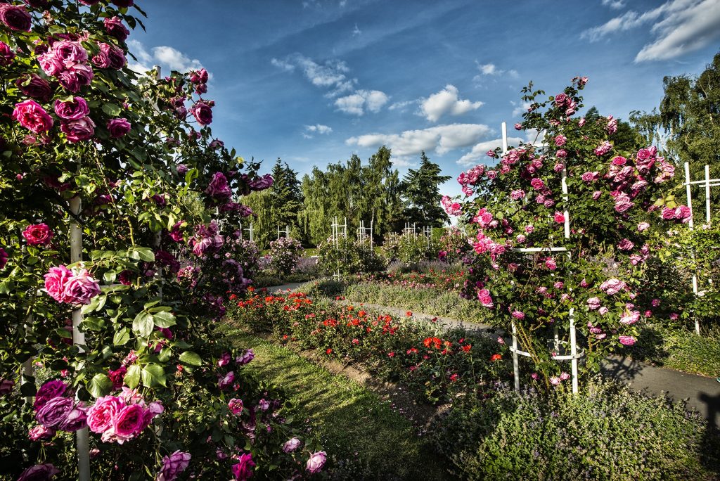 Jardins de Petřín