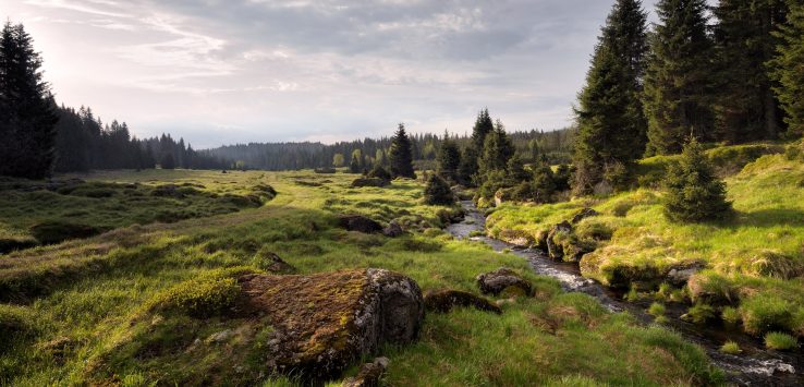 paisagem rural no interior da Boemia na República Tcheca: rio passando no meio da floresta