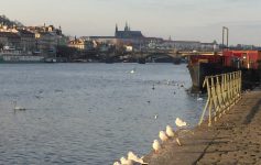 Clima em Praga em Praga em Fevereiro com mais luz