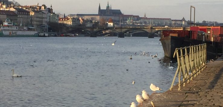 Clima em Praga em Praga em Fevereiro com mais luz